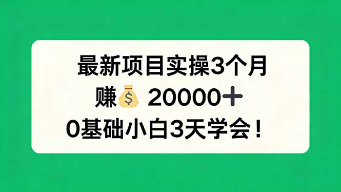 最新项目实操3个月，赚钱20000+，0基础小白3天学会！-小y轻创