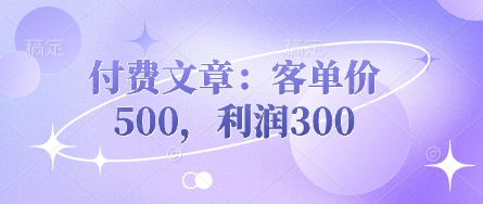 付费文章：客单价500，利润300-小y轻创