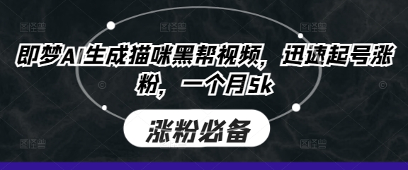 即梦AI生成猫咪黑帮视频，迅速起号涨粉，一个月5k-小y轻创