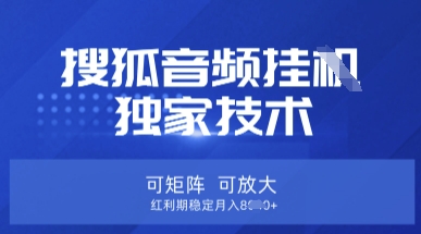 【搜狐音频挂G】独家技术，可矩阵可放大，红利期稳定月入8k【揭秘】-小y轻创