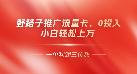 0门槛推广流量卡，一单收益上百，0投入，小白月入过W-小y轻创